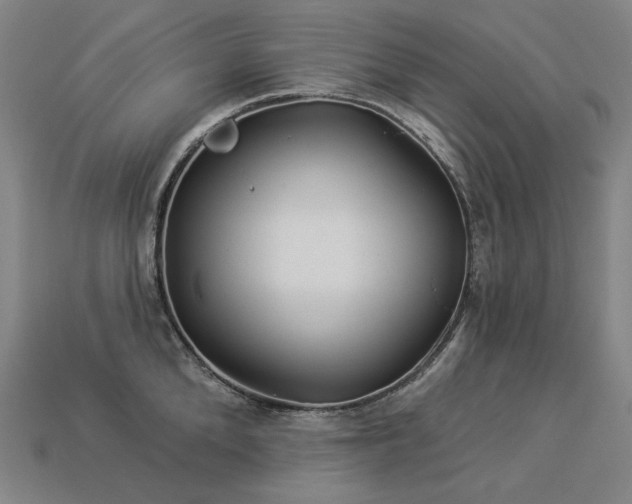 X0000113960904200909251357