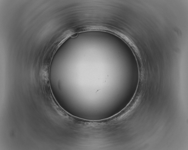 X0000113960905200909251357