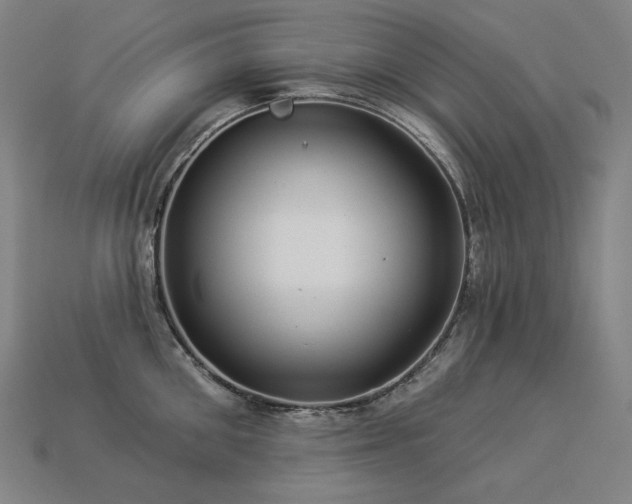 X0000113960906200909251357
