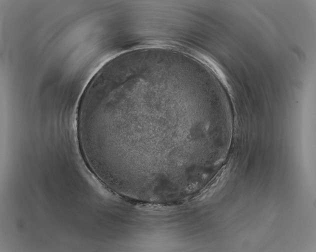 X0000113960907200909251357