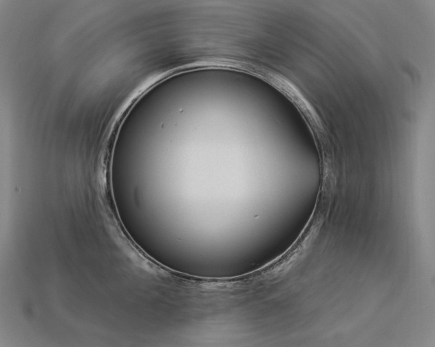 X0000113960908200909251357
