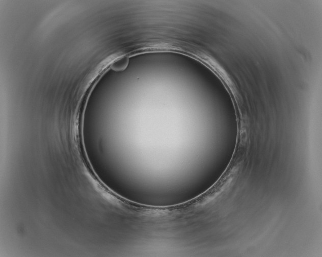X0000113960909200909251357