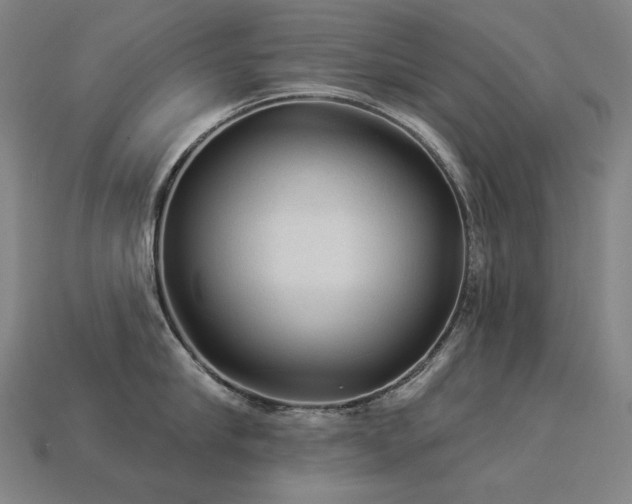 X0000113960910200909251357