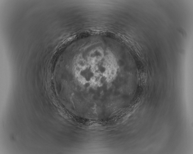 X0000113960913200909251356
