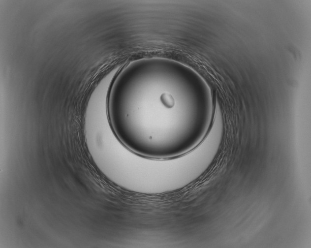 X0000113960916200909251357