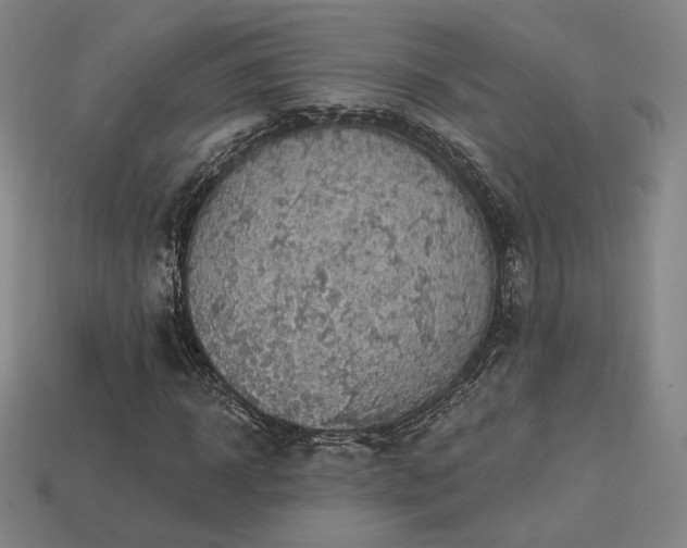 X0000113960918200909251357