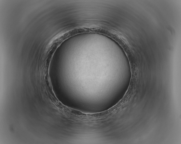 X0000113960920200909251357