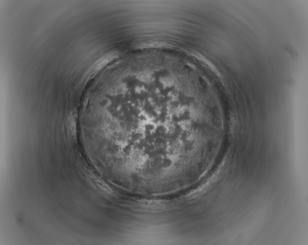 X0000113960921200909251357