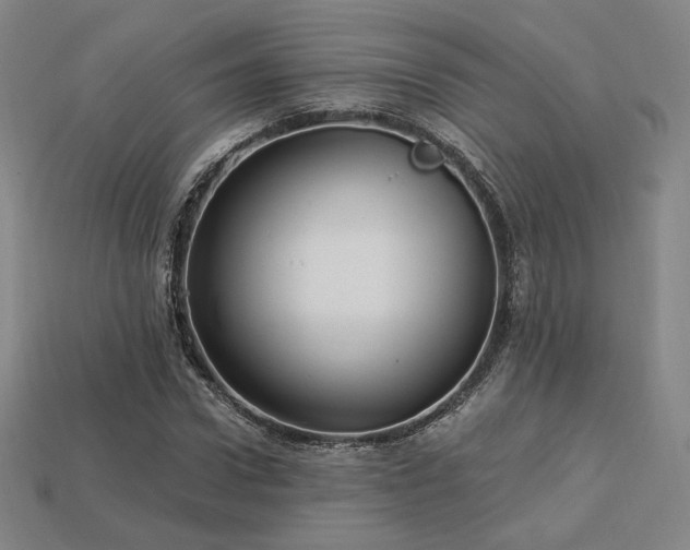 X0000113960922200909251357