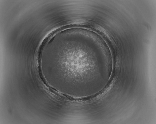 X0000113960923200909251357