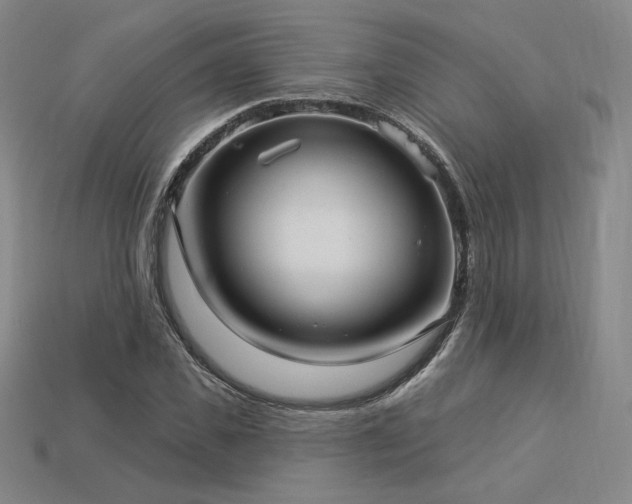 X0000113960925200909251357