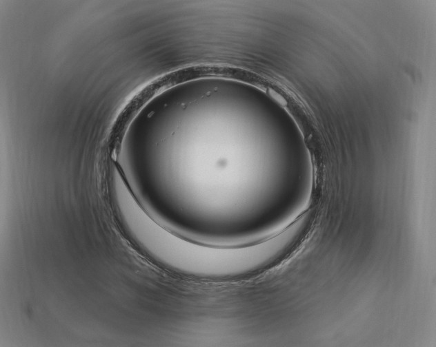 X0000113960926200909251357