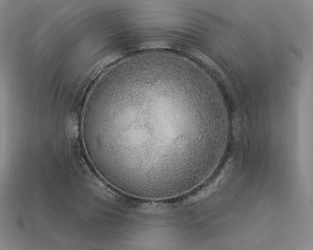 X0000113960929200909251357