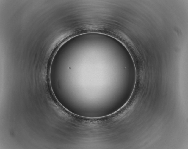 X0000113960930200909251357