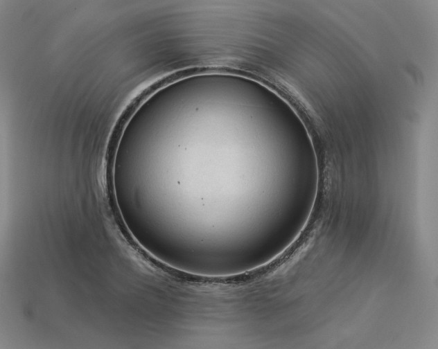 X0000113960932200909251357