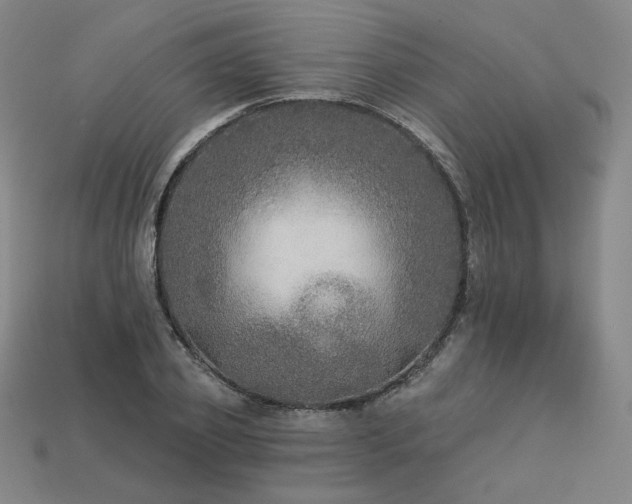X0000113960933200909251357