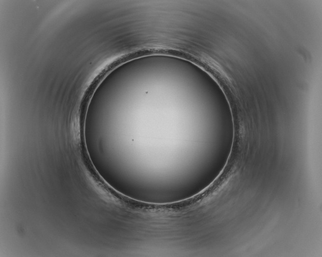X0000113960934200909251357
