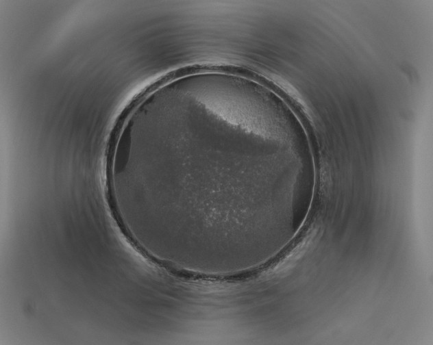 X0000113960935200909251357