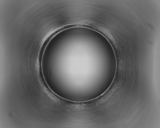 X0000113960936200909251357