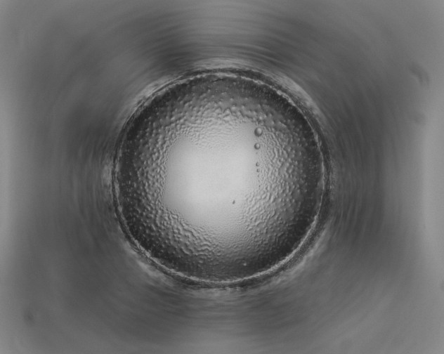 X0000113960937200909251357