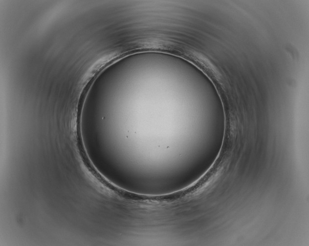 X0000113960938200909251357