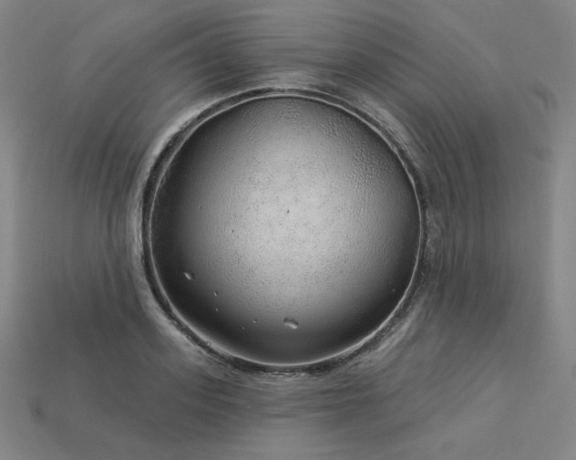 X0000113960939200909251357