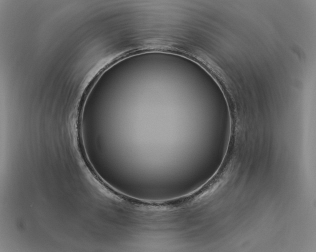 X0000113960941200909251357