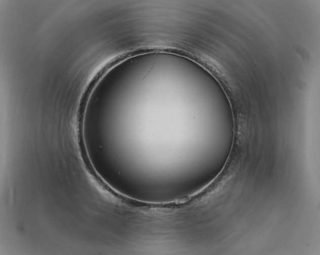 X0000113960942200909251357