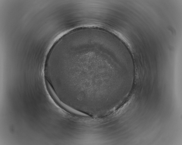 X0000113960943200909251357