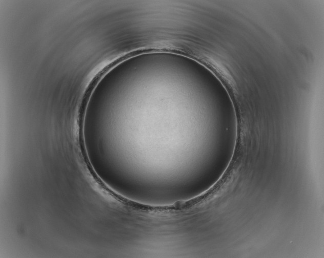 X0000113960944200909251357