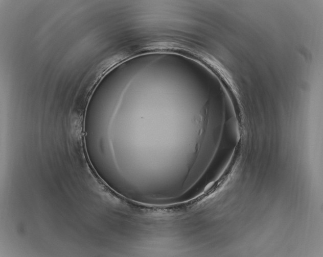 X0000113960945200909251357