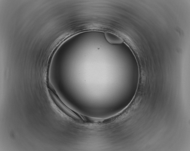 X0000113960946200909251357