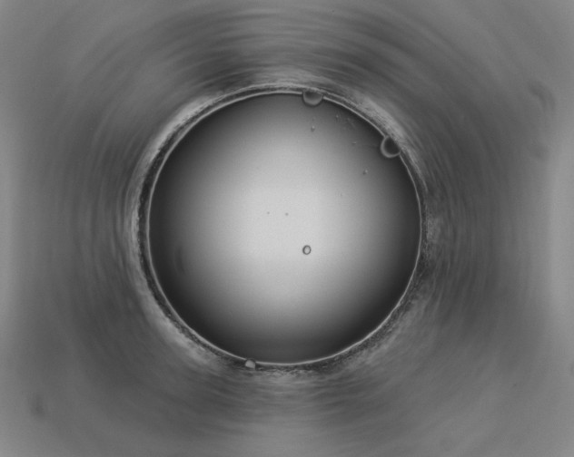X0000113960947200909251357