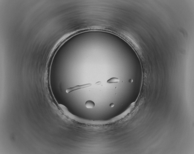 X0000113960948200909251357