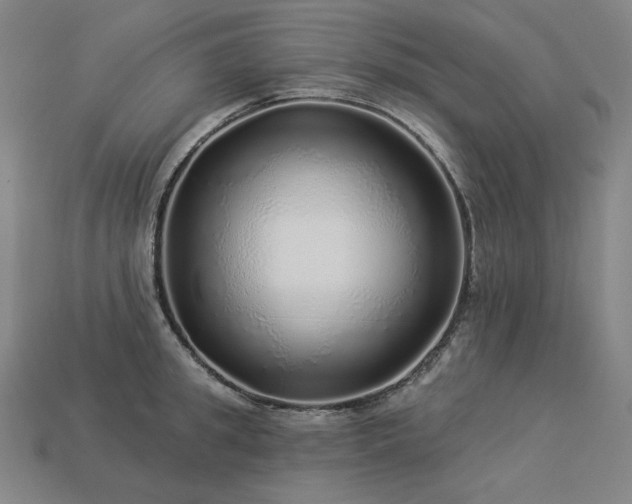 X0000113960949200909251357