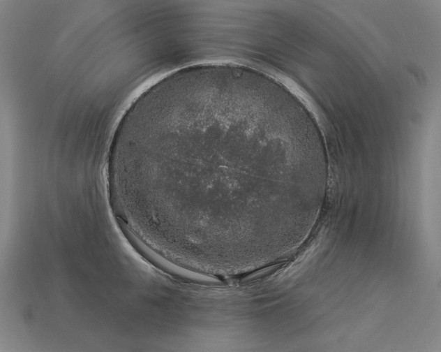 X0000113960951200909251357