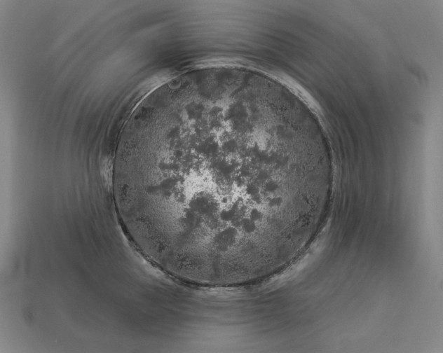 X0000113960953200909251357