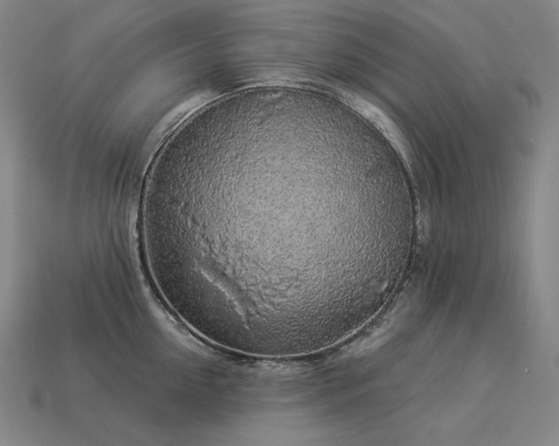X0000113960954200909251357