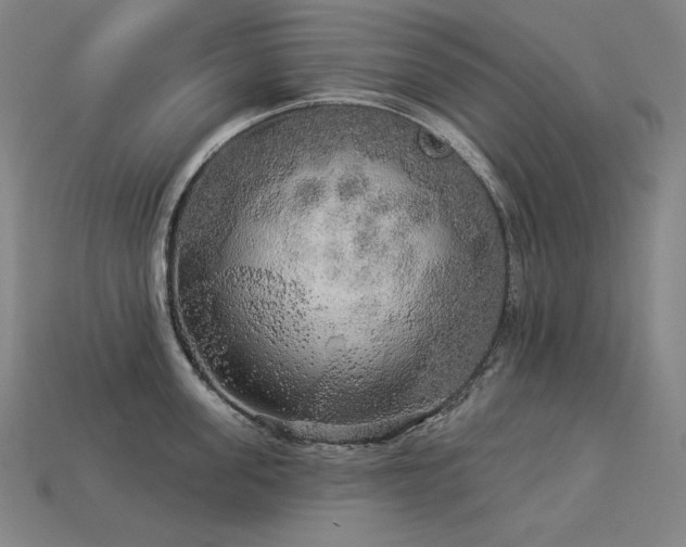 X0000113960955200909251357