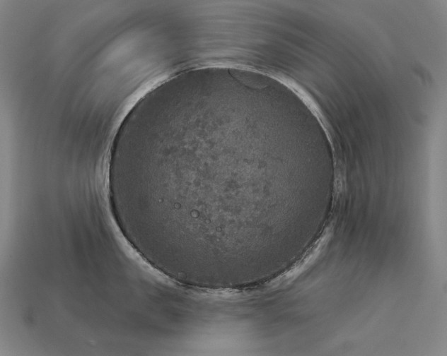 X0000113960957200909251357