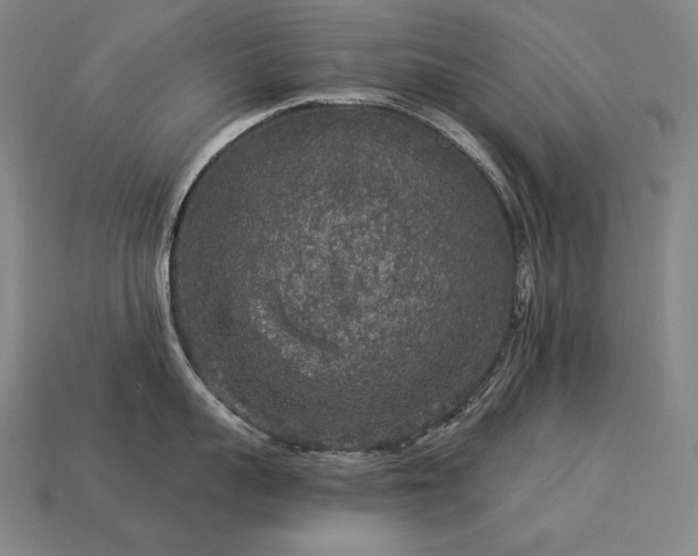 X0000113960959200909251357