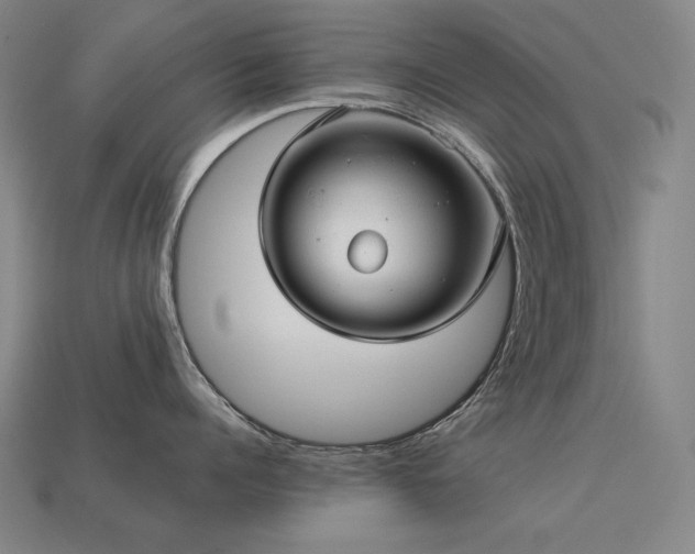 X0000113960960200909251357