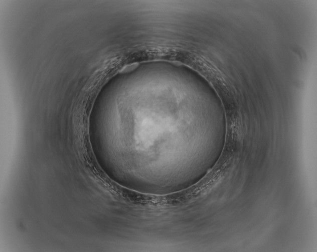 X0000113960961200909251356