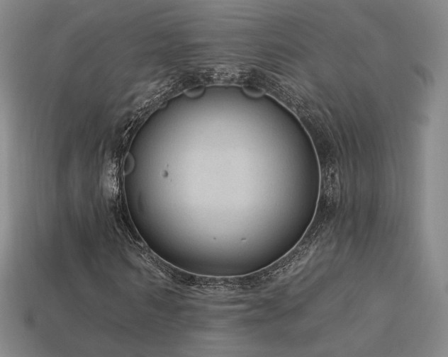 X0000113960962200909251356