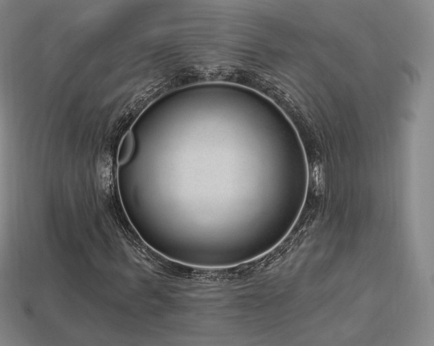 X0000113960963200909251356