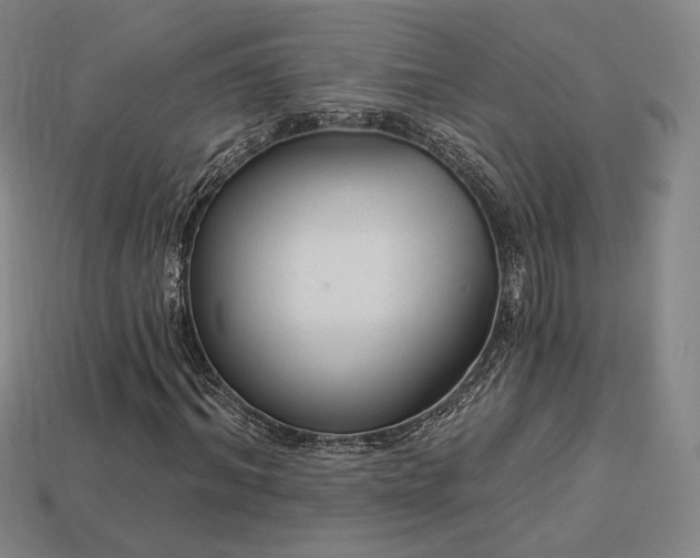 X0000113960964200909251356