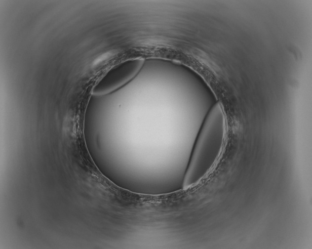 X0000113960965200909251356