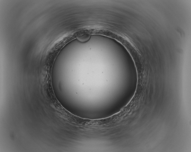 X0000113960967200909251356
