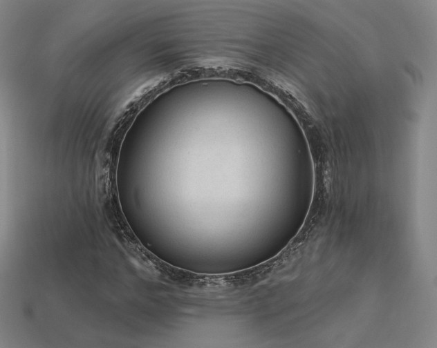 X0000113960968200909251356