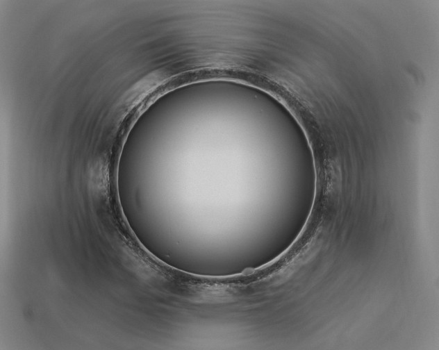 X0000113960969200909251356